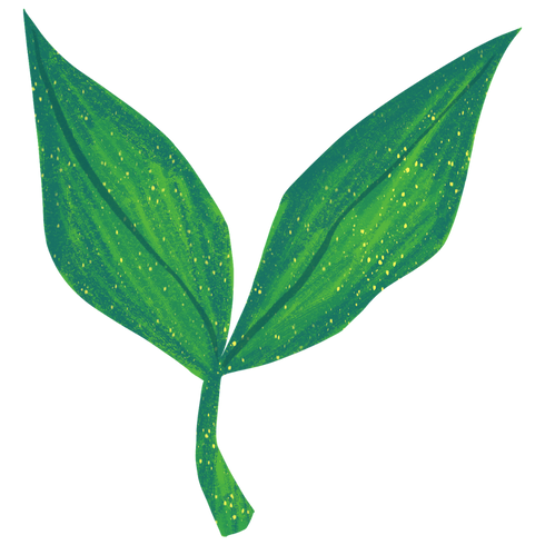 Premium βρεφικά είδη